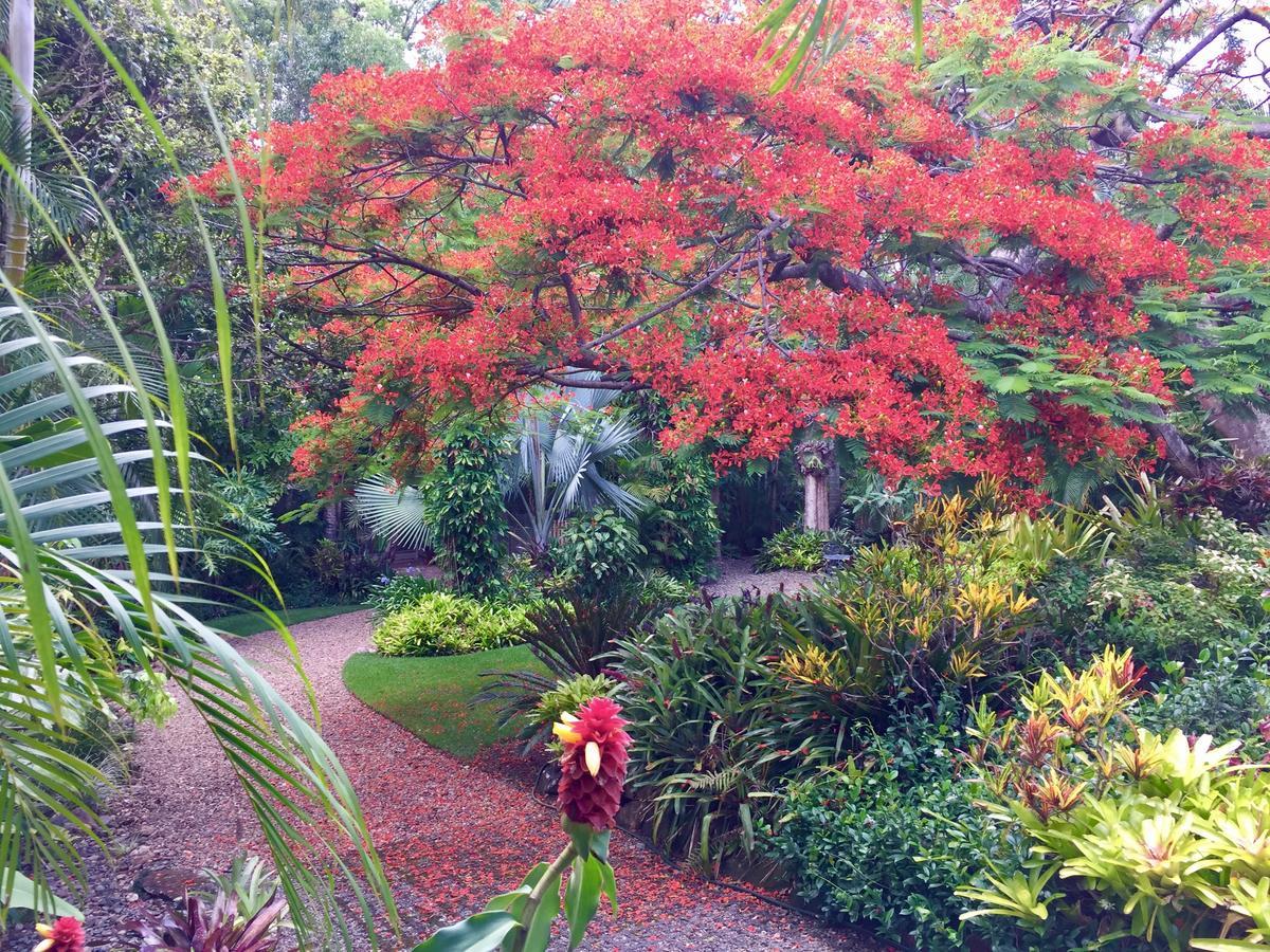 Eden Rest Bed and Breakfast Cooroy Esterno foto